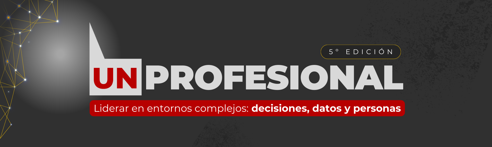 UN PROFESIONAL Liderar en entornos complejos: decisiones, datos y personas
