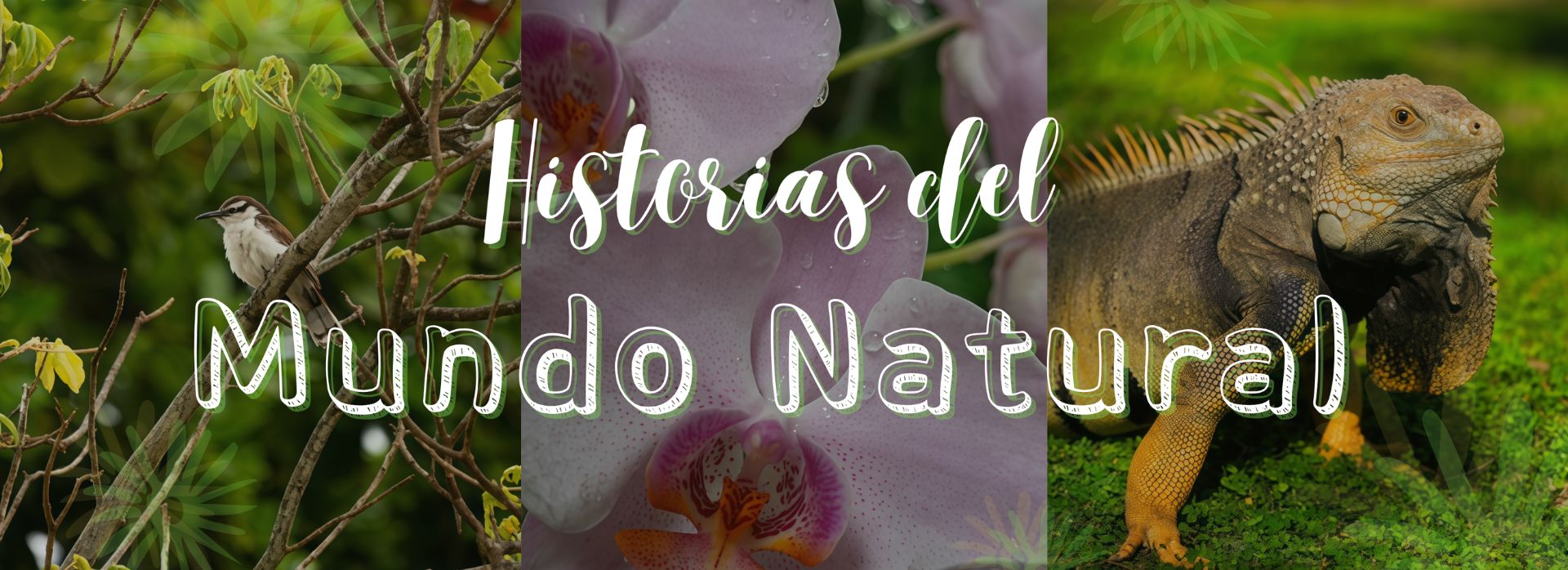 Banner eventos (1920 x 698 px) (26).jpg