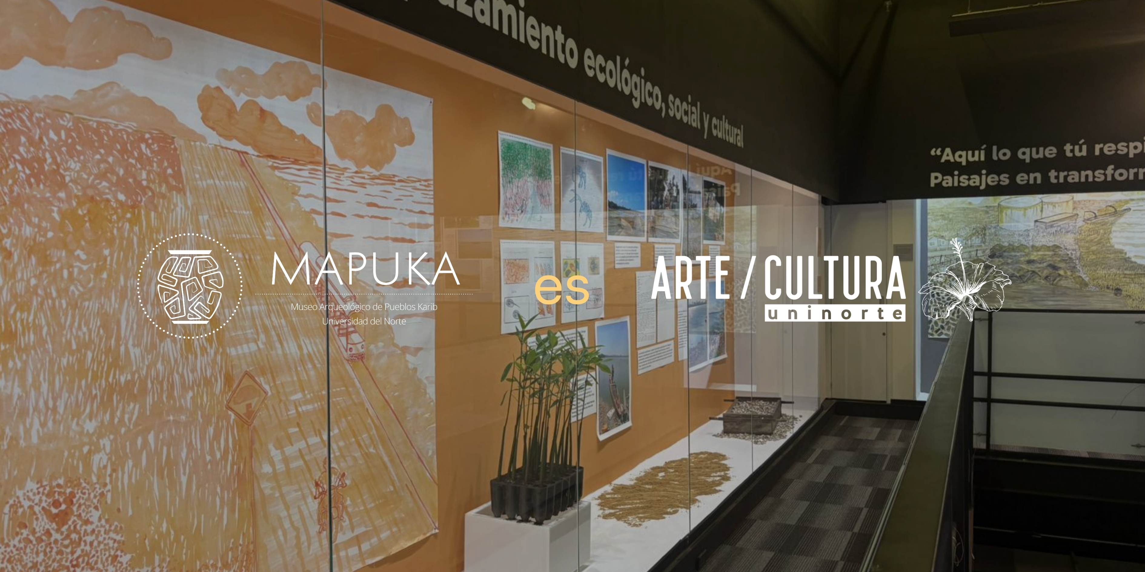 Banner Mapuka arte/cultura