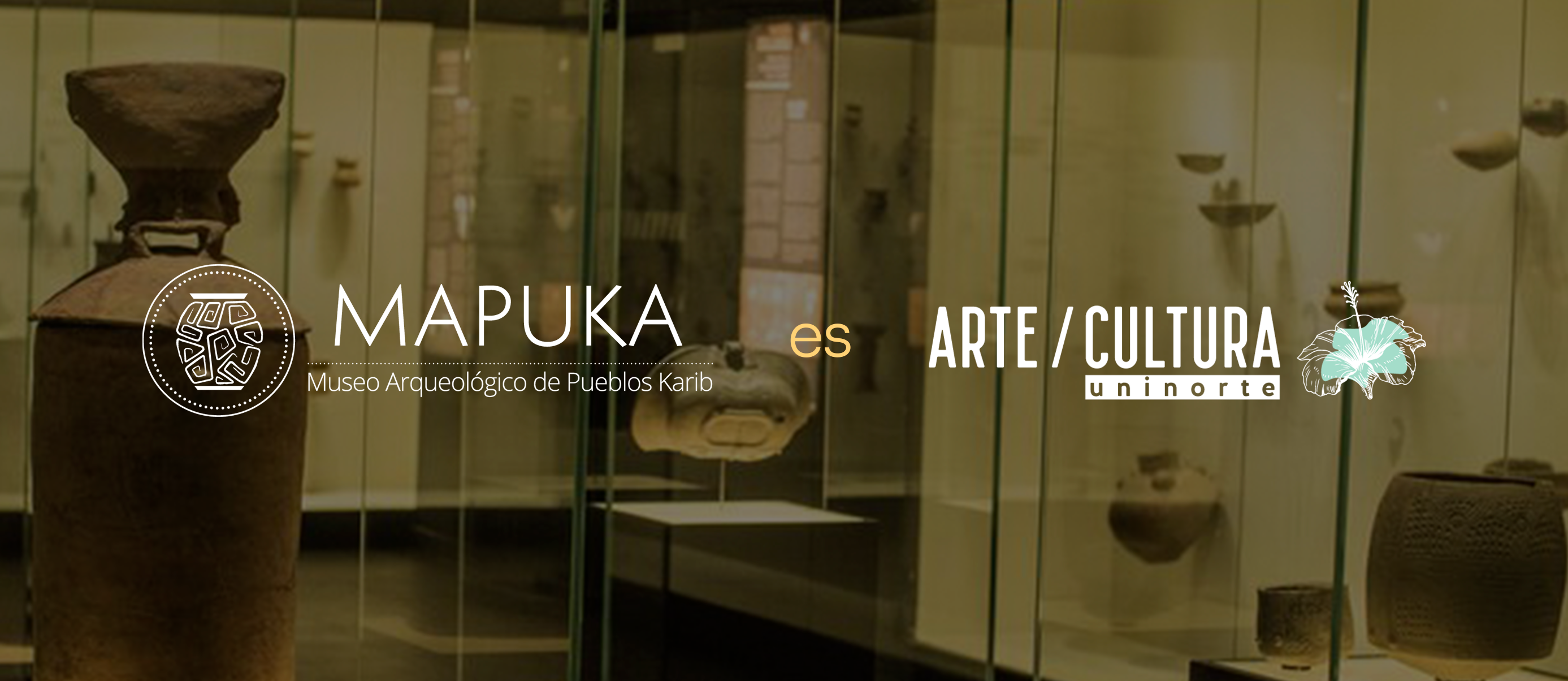 Banner Mapuka arte/cultura