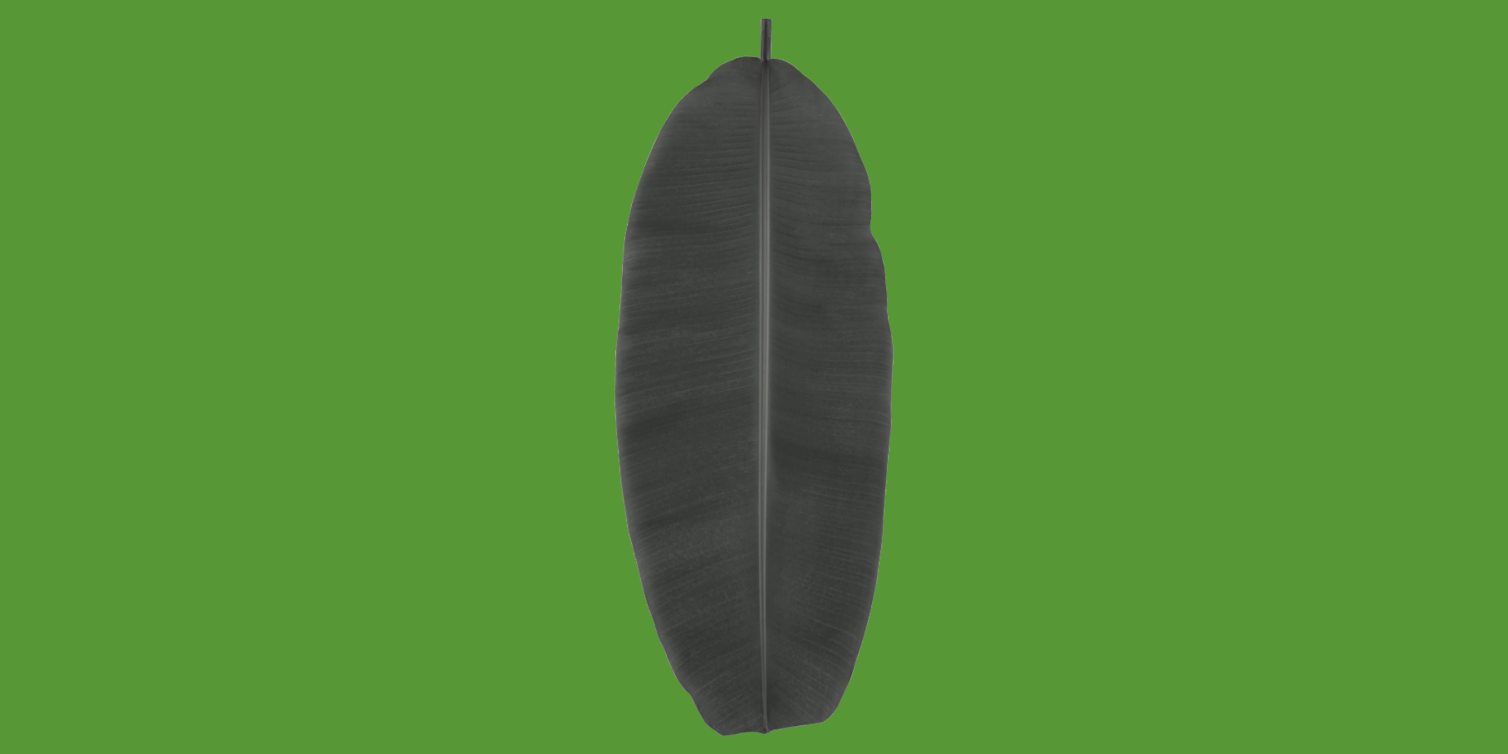 First Responsive Image