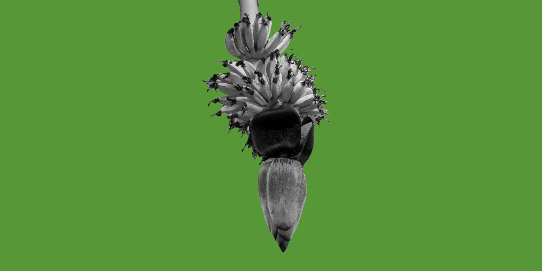 Third Responsive Image