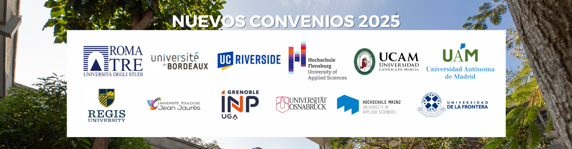 First Responsive Image