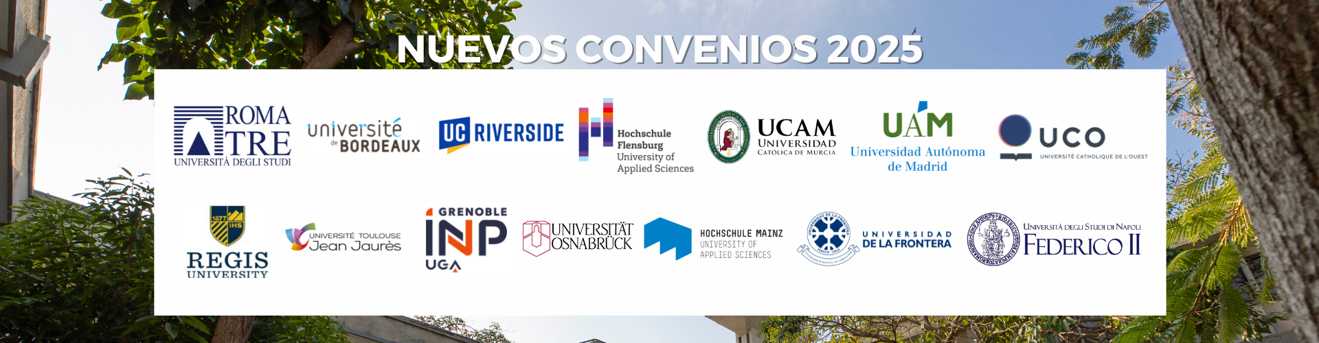 First Responsive Image