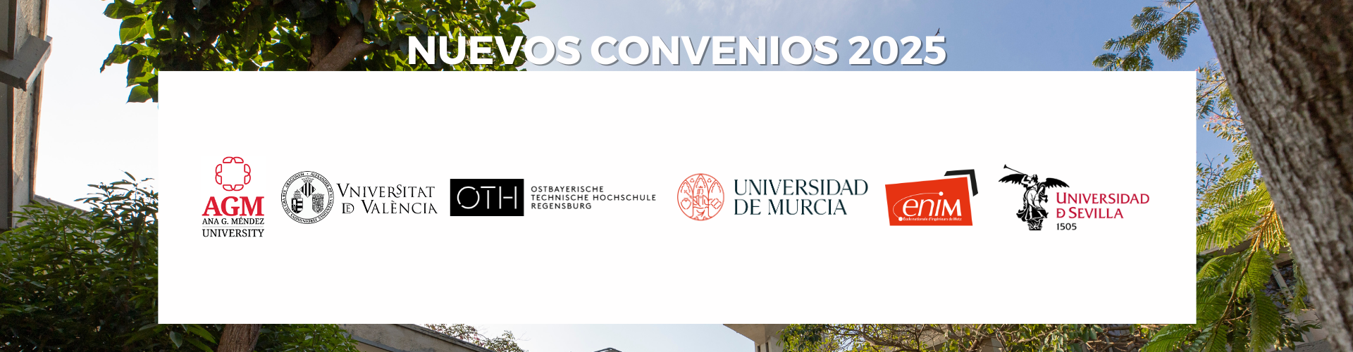 Third Responsive Image