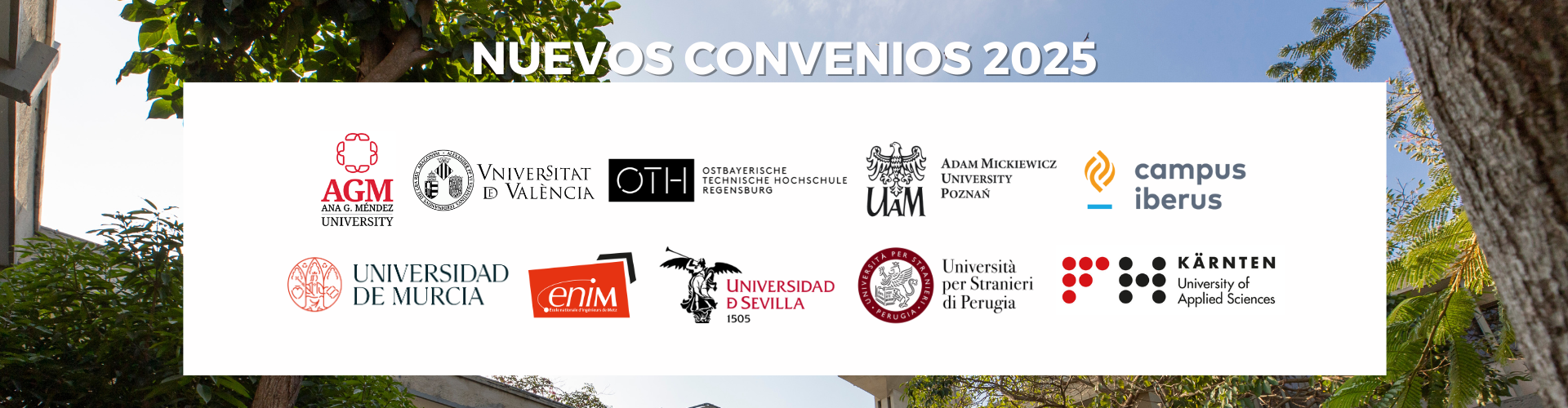 Third Responsive Image