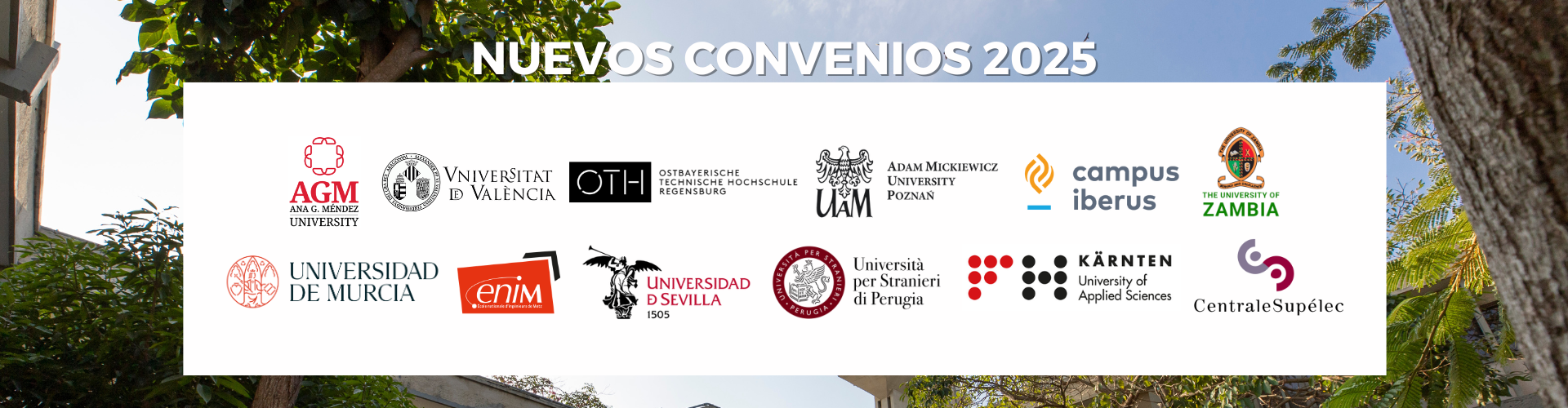 Third Responsive Image