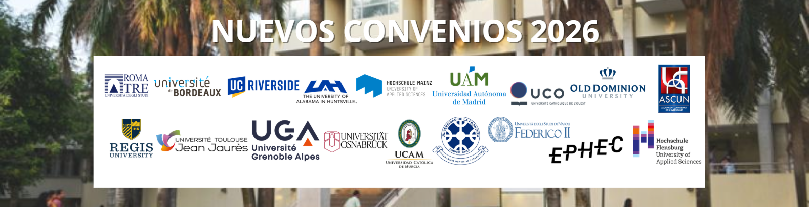 First Responsive Image