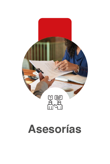 Asesorias