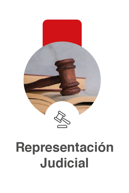 Representación judicial