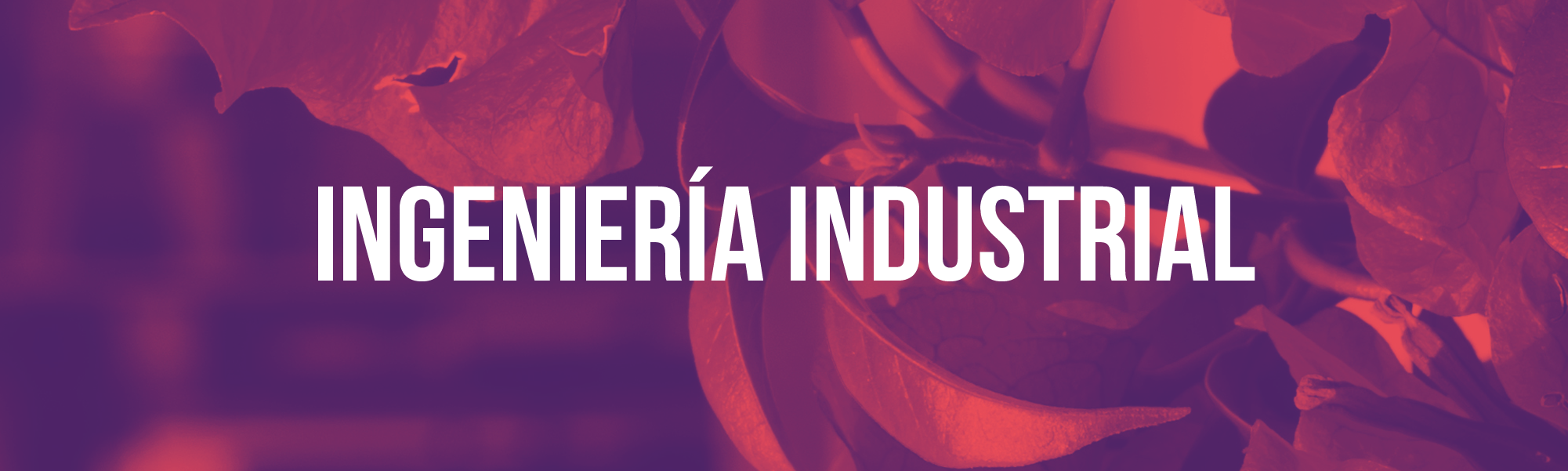 Banner Ingeniería Industrial