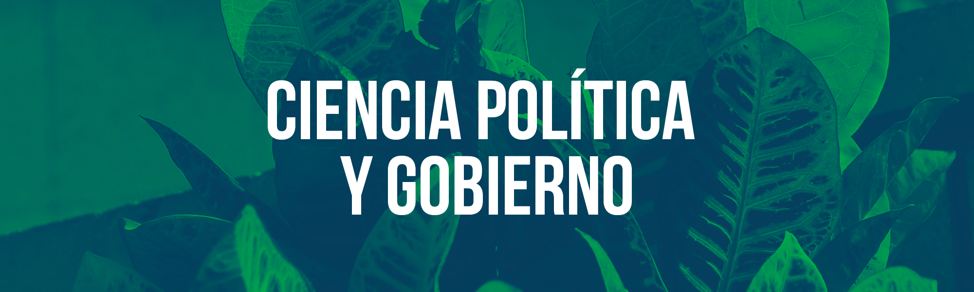 Ciencia Política y Gobierno