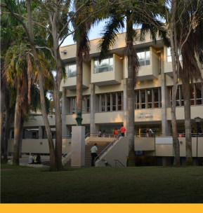 Intercambios Académicos