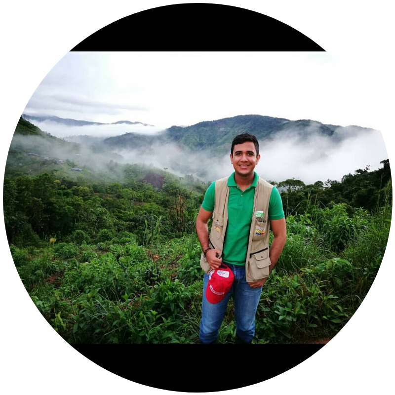 Responsive Image