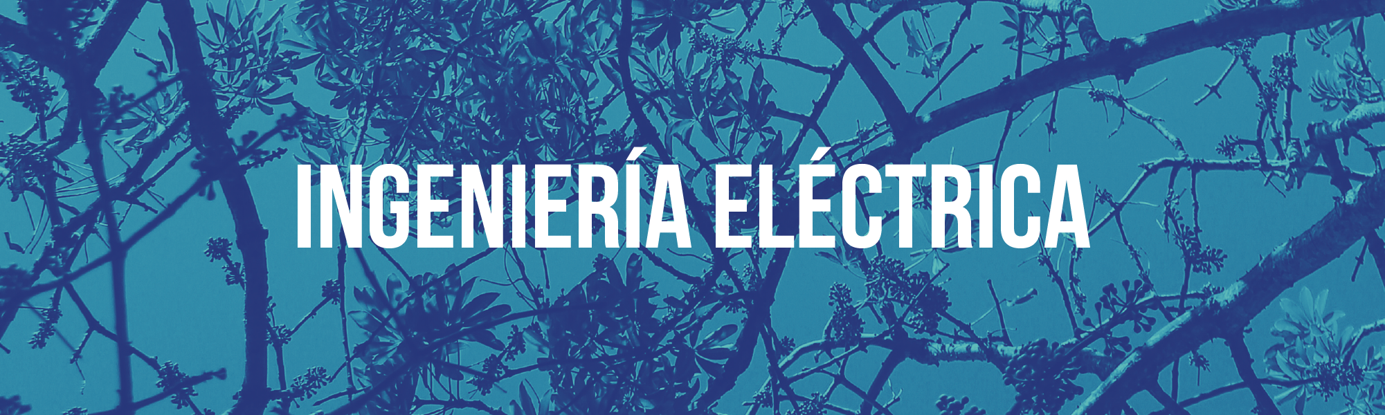 Ingeniería Eléctrica
