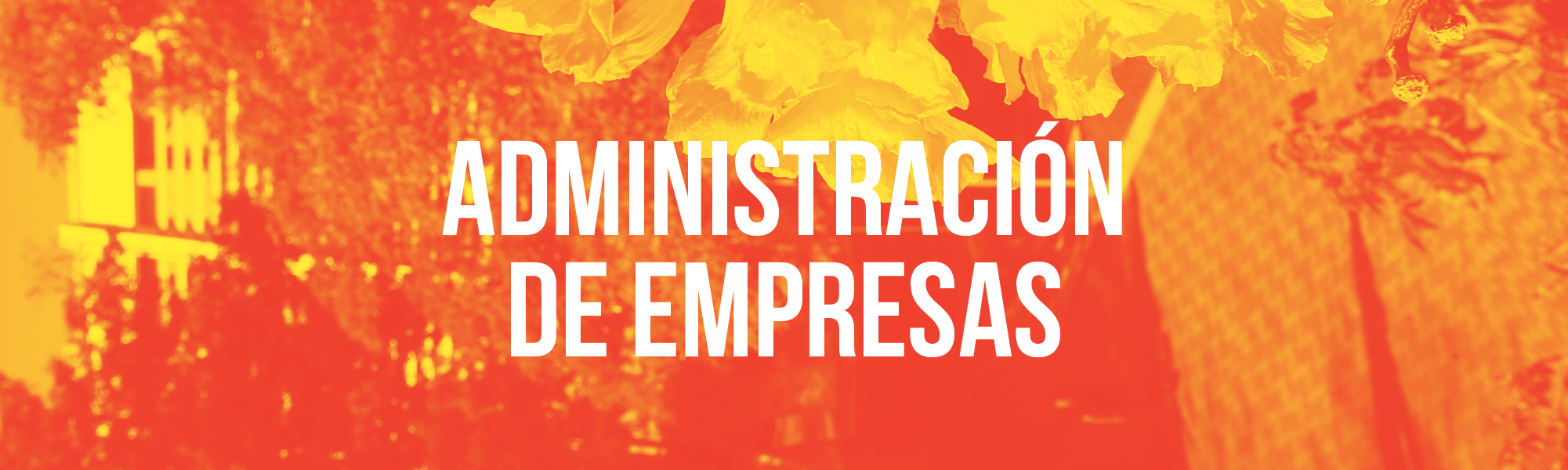 Administración de Empresas