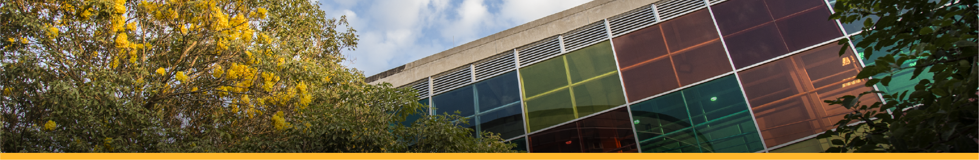 administracion de empresas Plan de Estudios