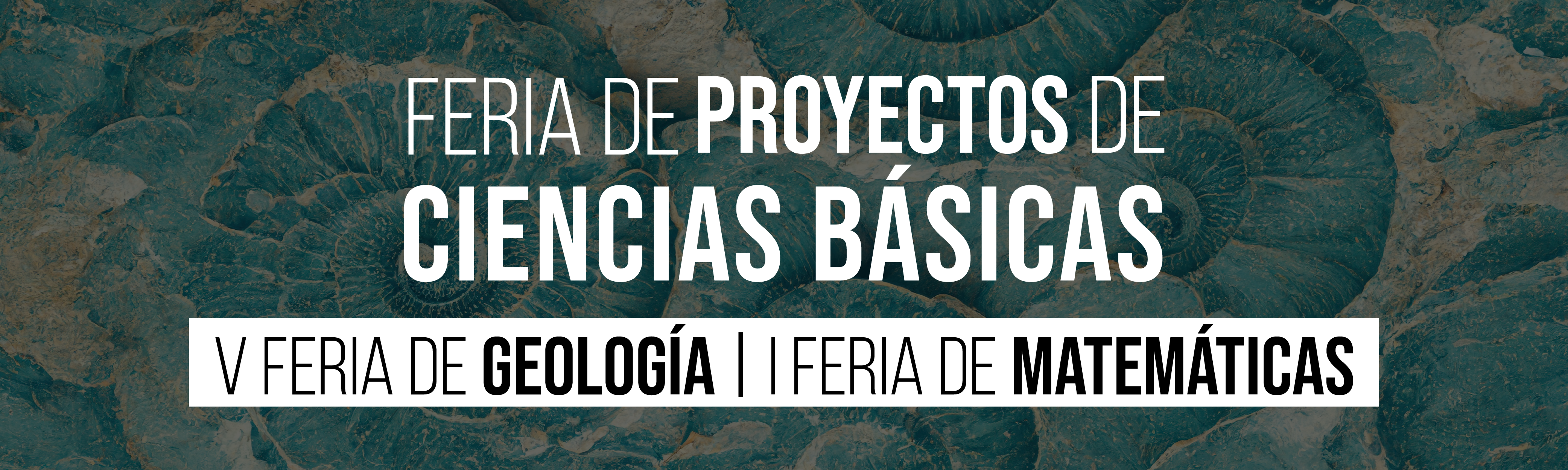 C-30926_SM_DIV-BAS_BAN_feria-proyectos.png