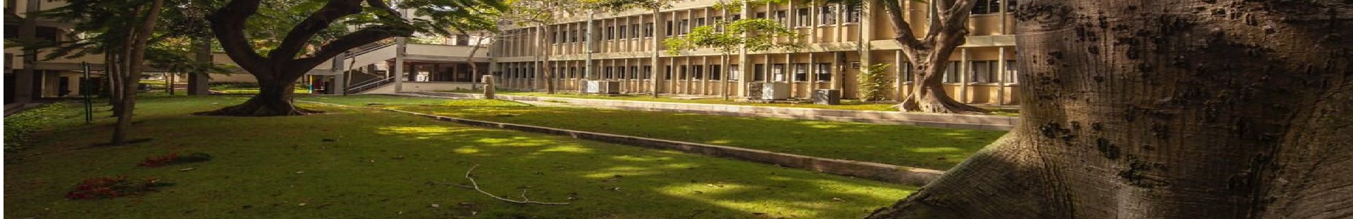 Próximos Eventos