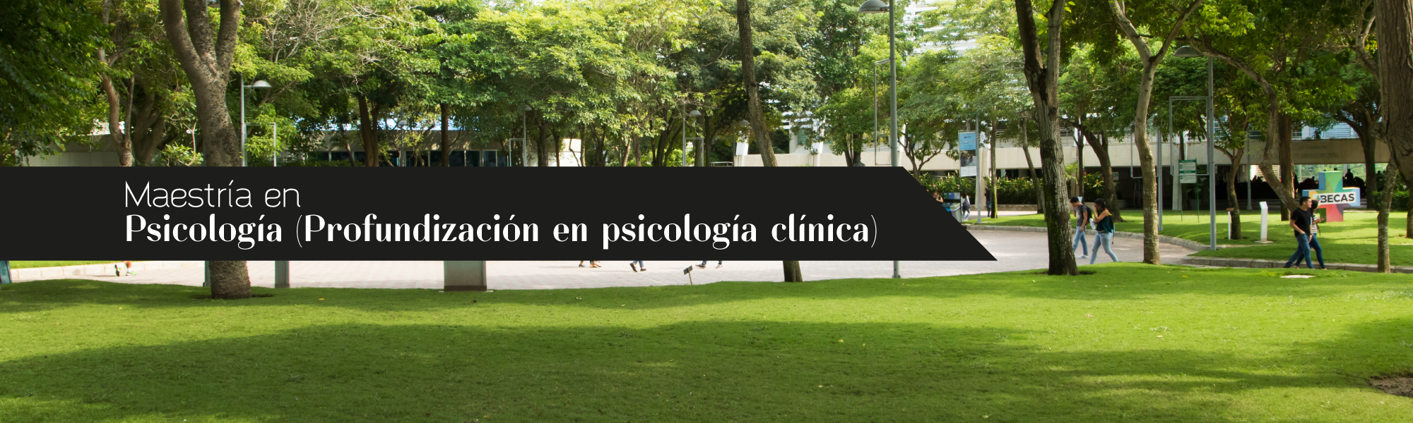 Maestría en Psicología Modalidad Clínica