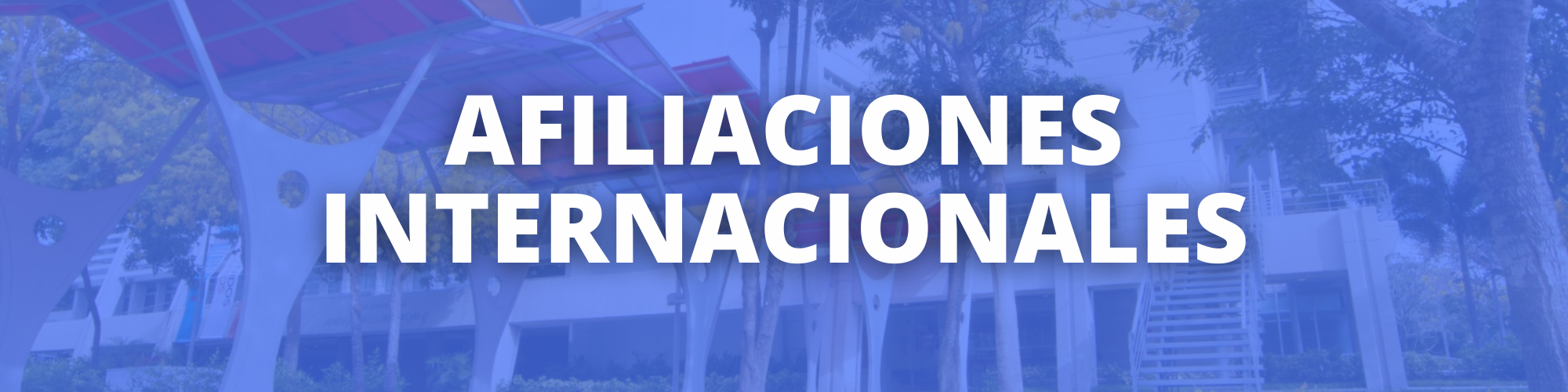 BANNER AFILIACIONES INTERNACIONALES