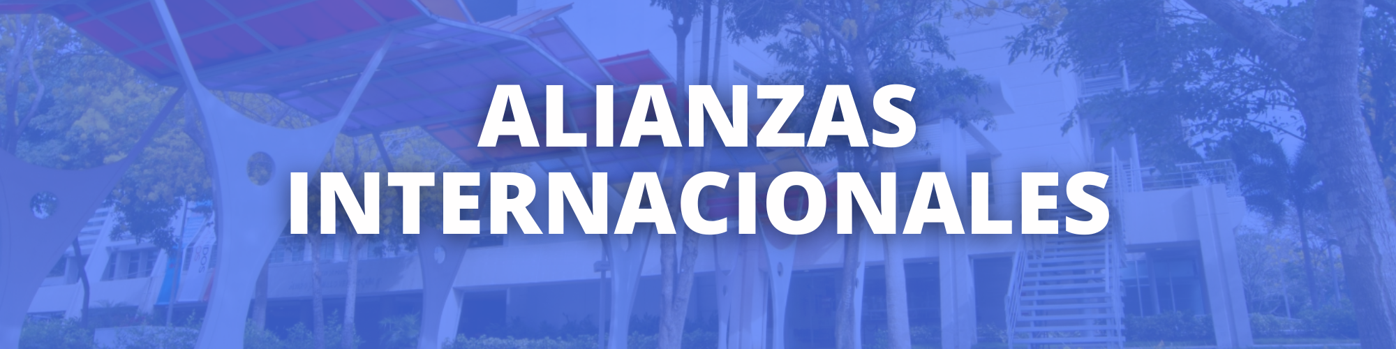BANNER ALIANZAS INTERNACIONALES