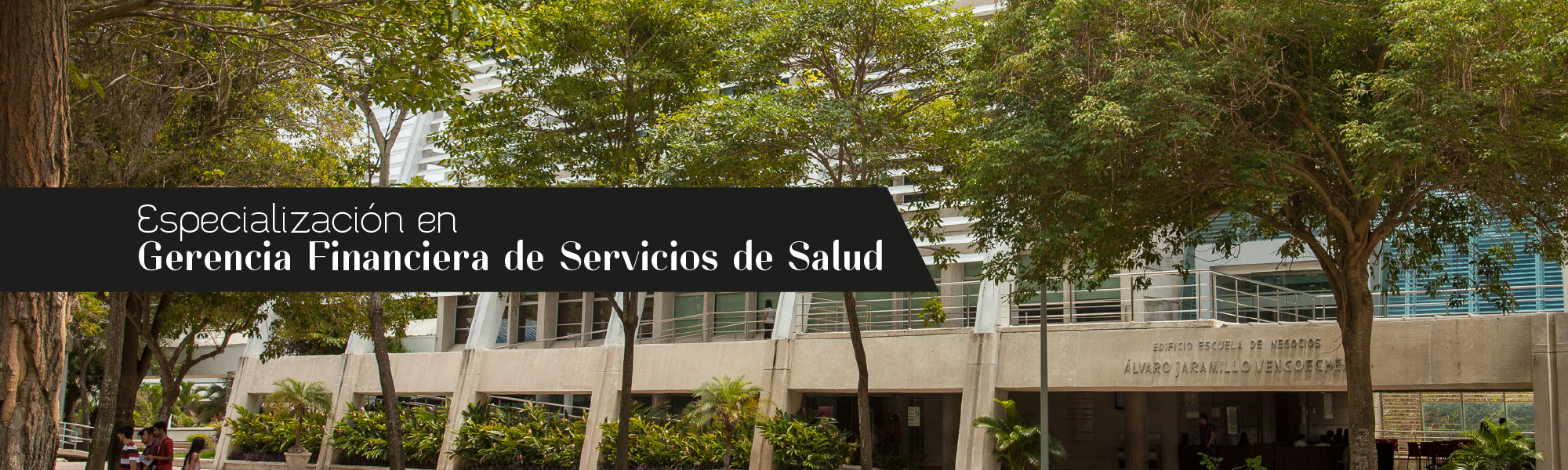 Especialización en Gerencia Financiera de Servicios de Salud