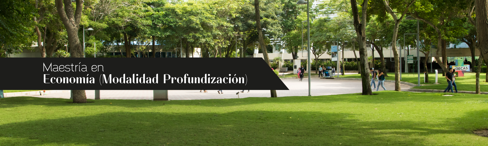 Maestría en Economía (Modalidad Profundización)