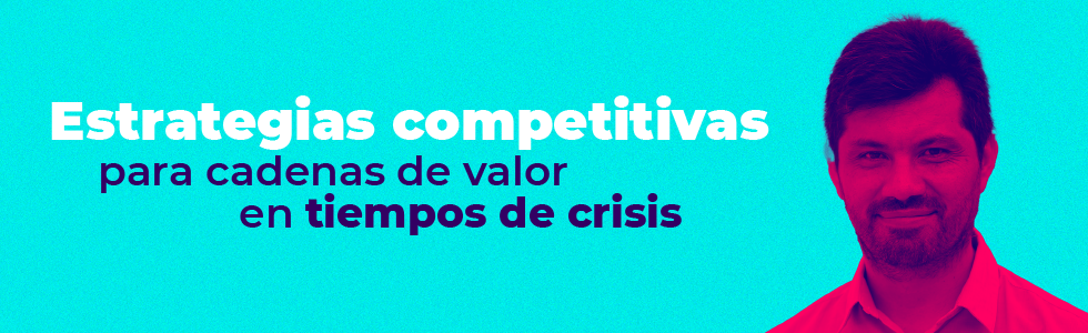 Estrategias competitivas para cadenas de valor en tiempos de crisis