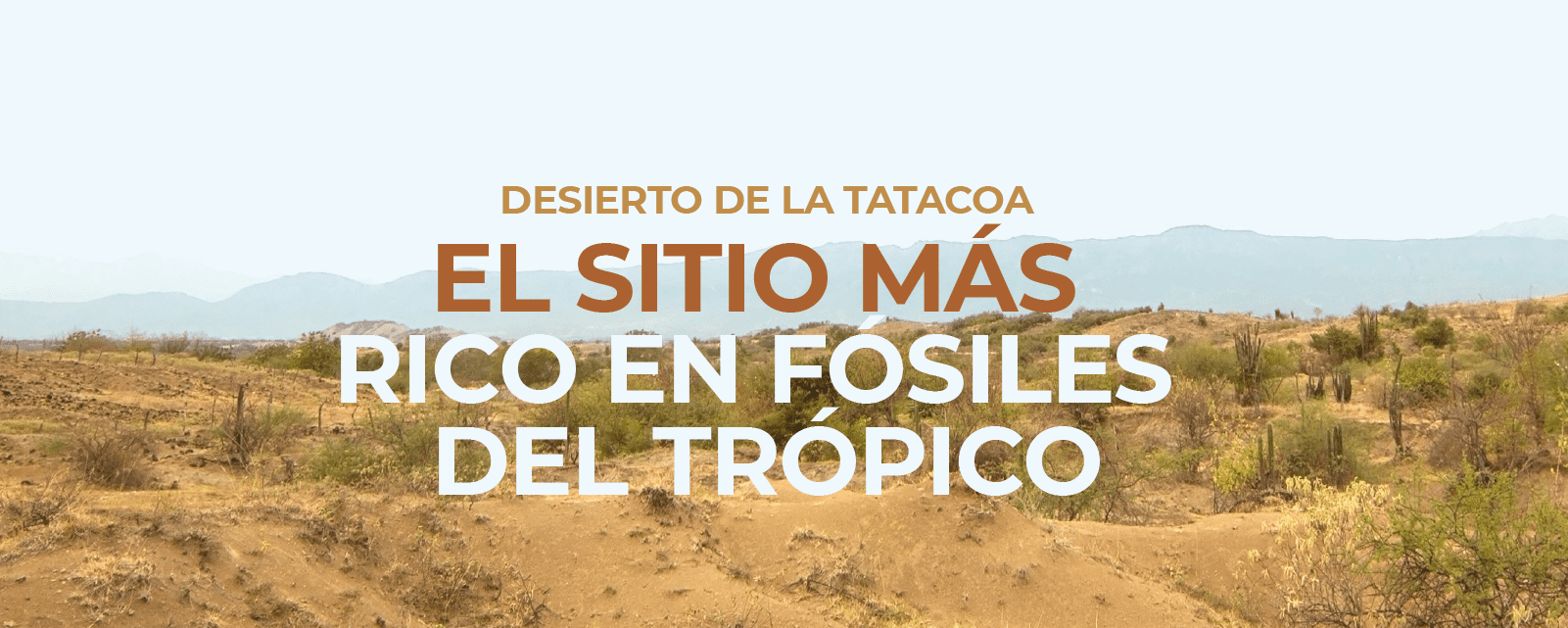 Desierto de la Tatacoa: El sitio más rico en fósiles del trópico