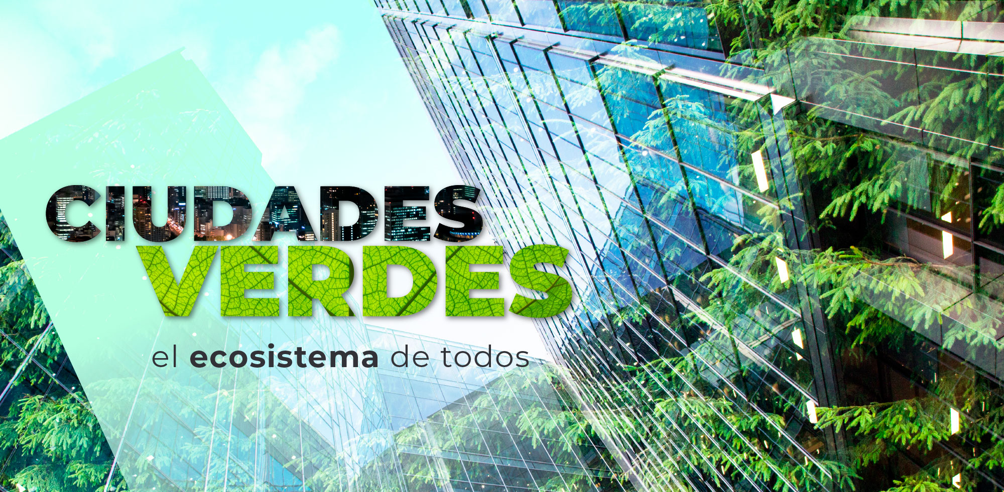 Ciudades verdes el ecosistema de todos