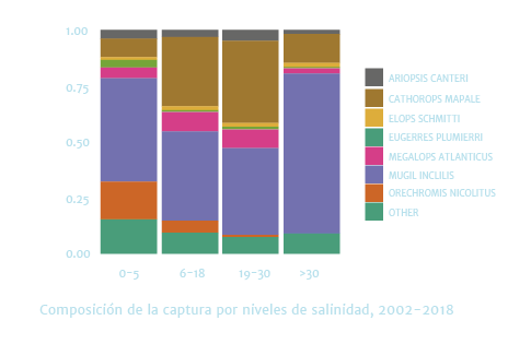 grafico