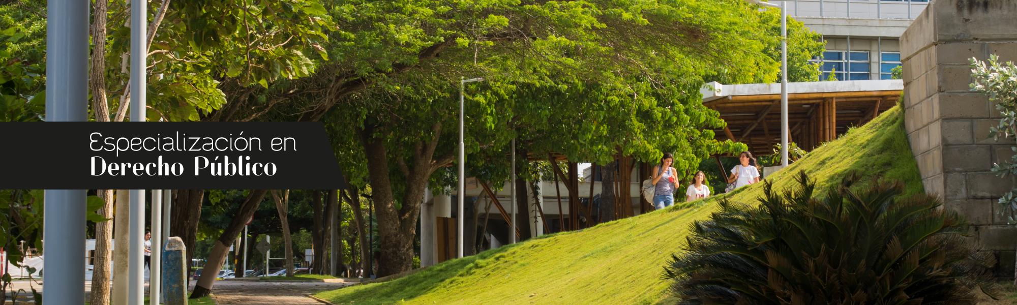 Como Se Dice Especializacion Academica En Ingles Especializacion en derecho publico - Especialización en Derecho Público -  Uninorte