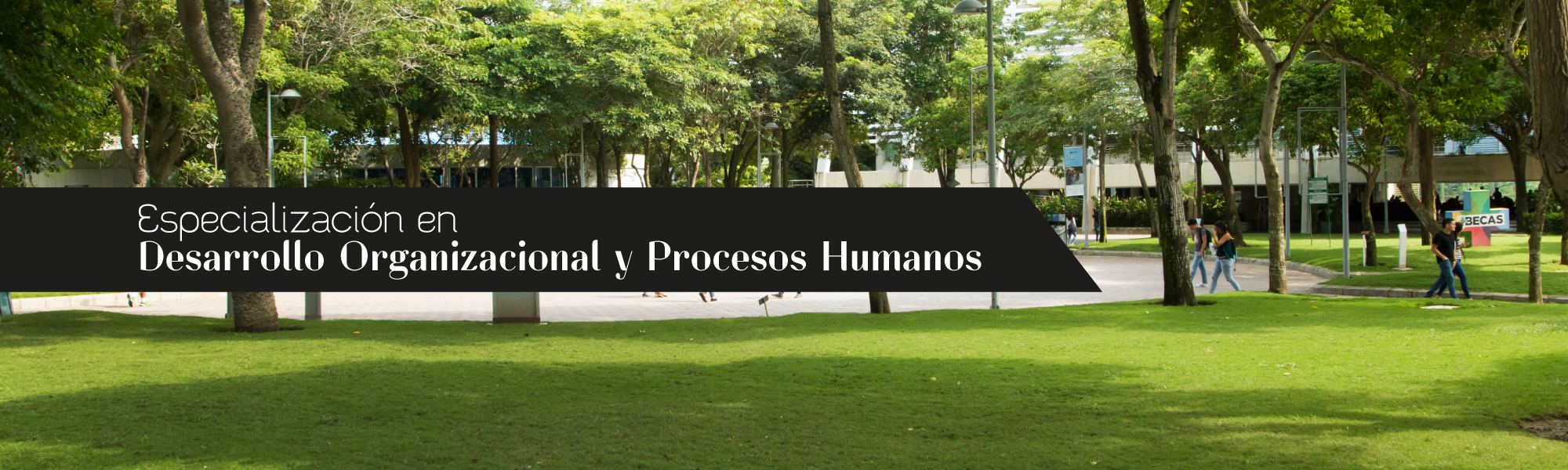 Especialización en Desarrollo Organizacional y Procesos Humanos