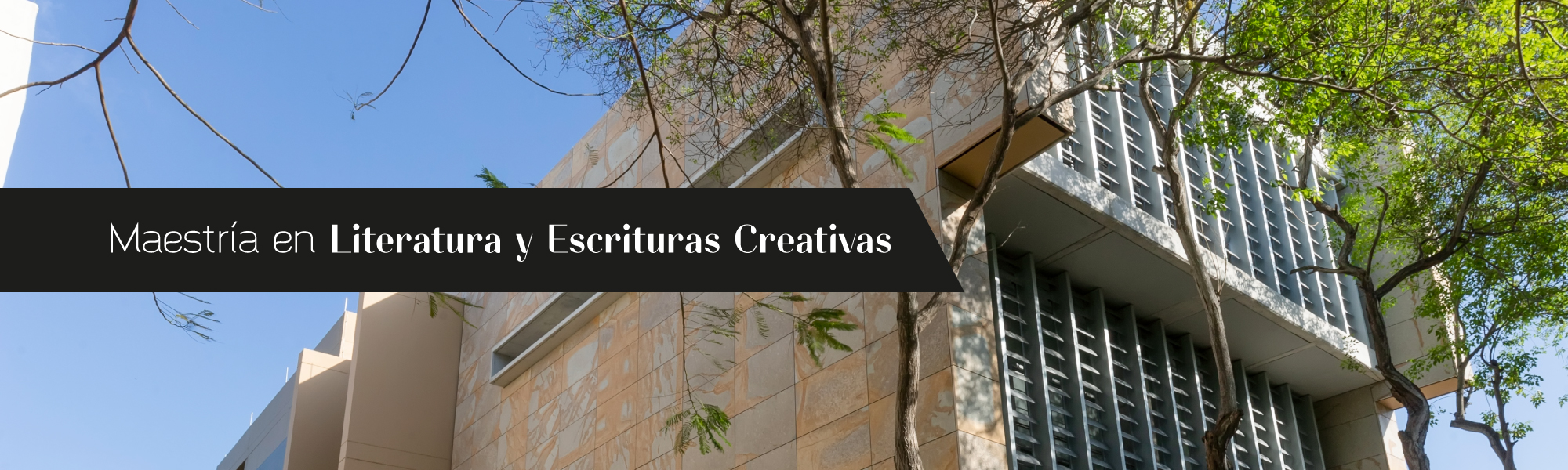 Maestría en Literatura y Escrituras Creativas