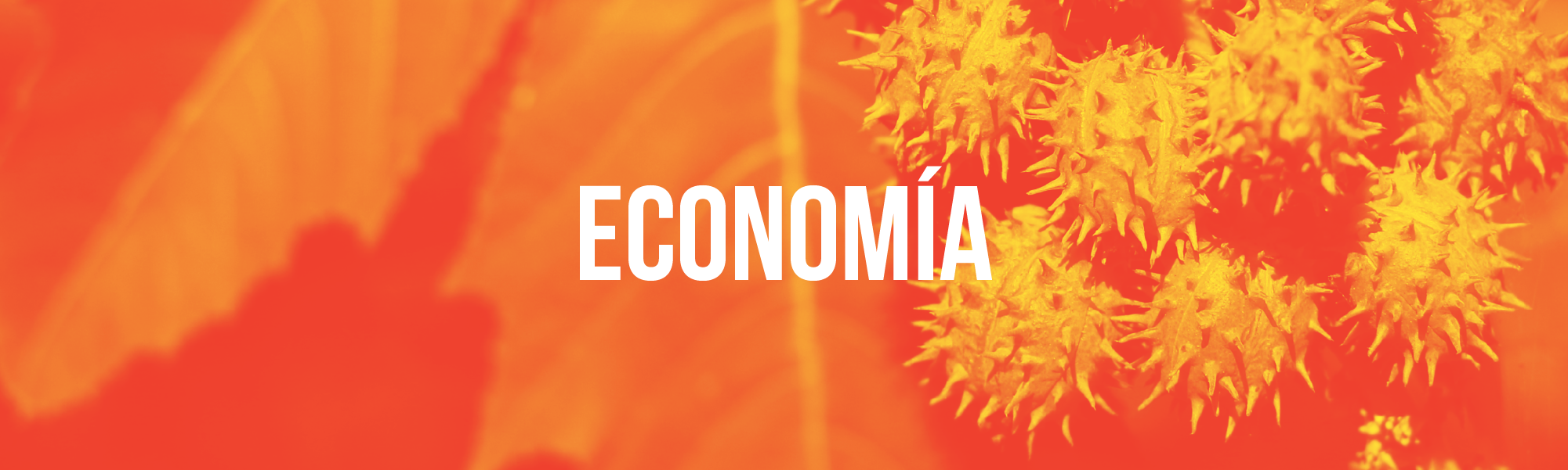 Economía