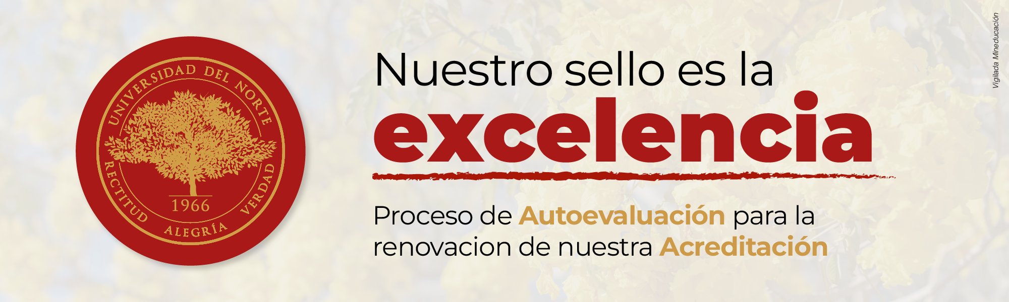 Nuestro sello es la excelencia, proceso de autoevaluación para la renovación de nuestra acreitación