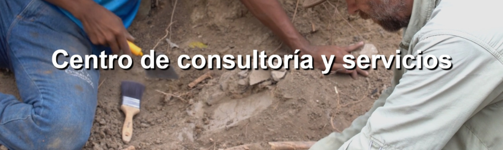 Cuarta Responsive Image