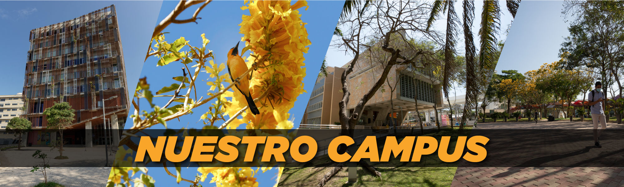 Nuestro campus