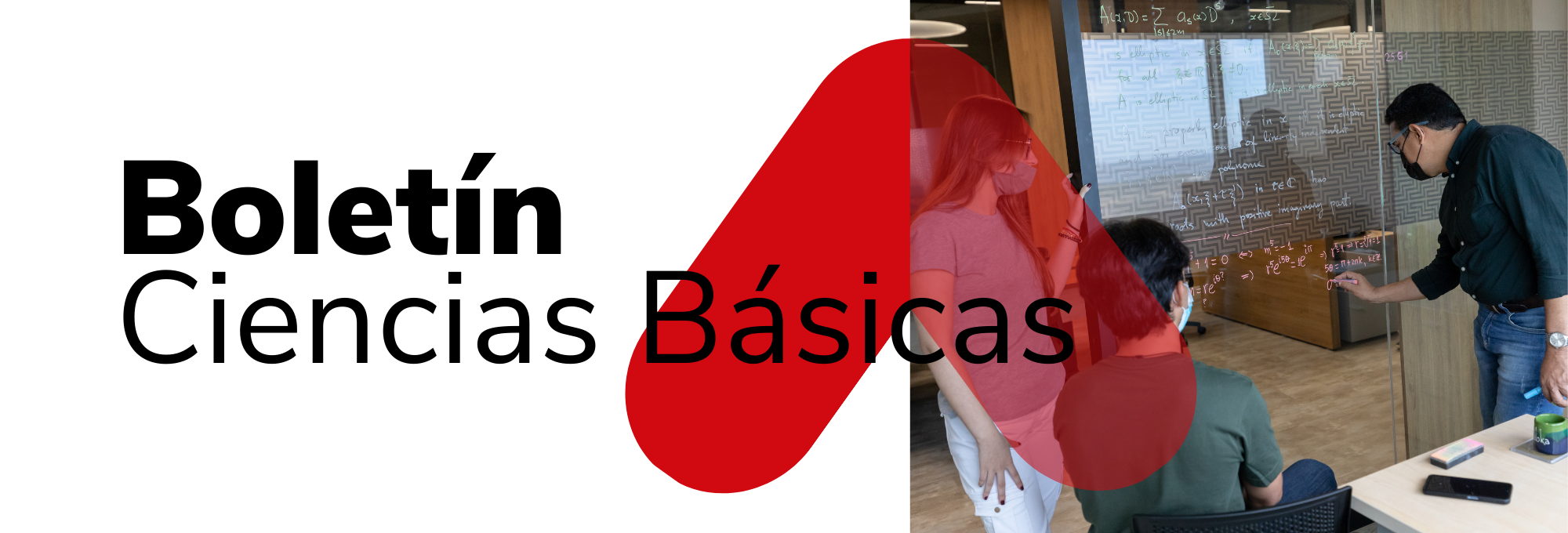 Boletín División de Ciencias Básicas