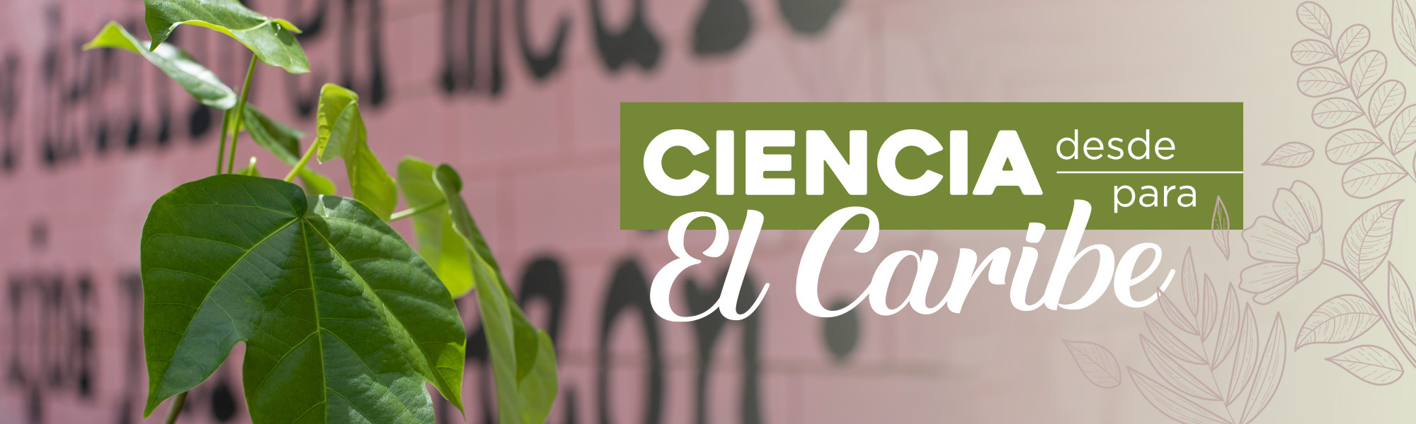 Banner ciencia desde para el caribe