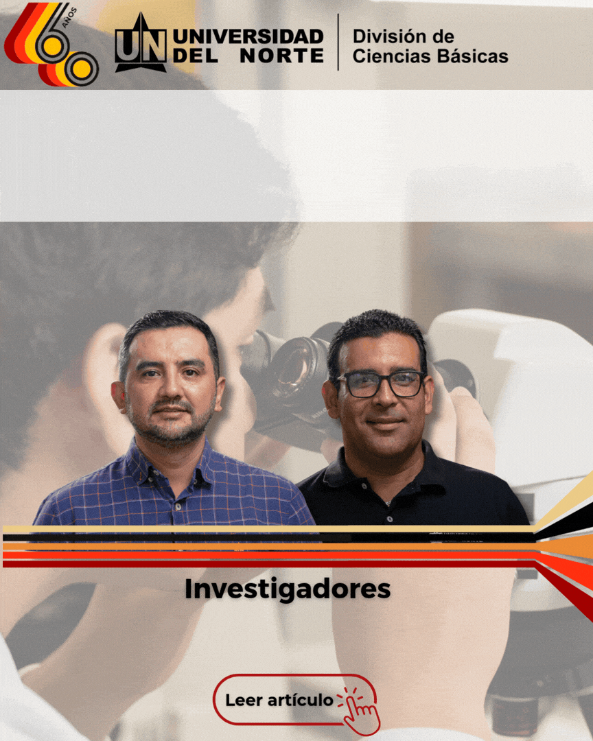 Third Responsive Image