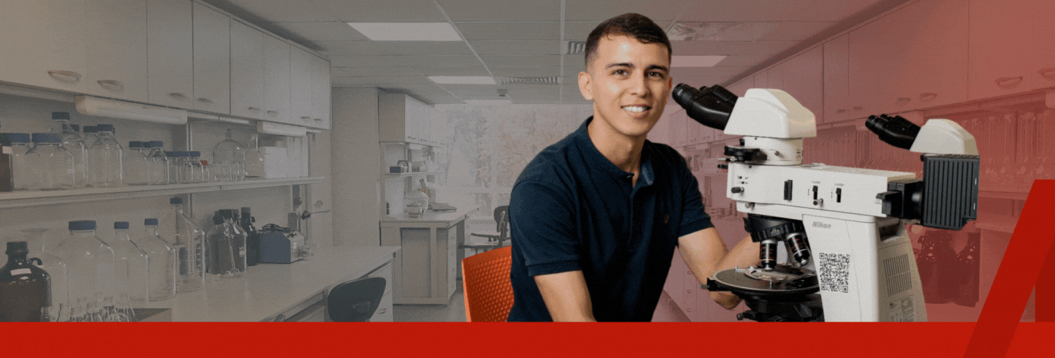 Responsive Image