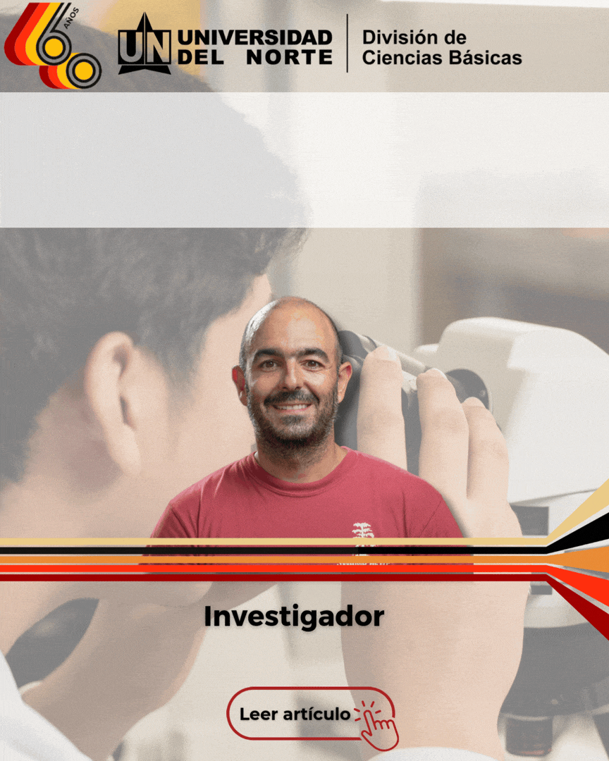 Cuarta Responsive Image