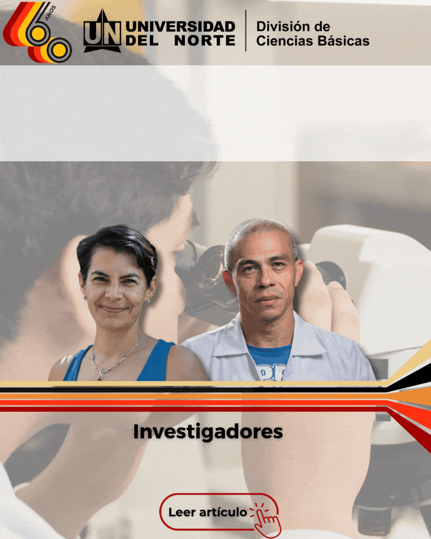 Third Responsive Image