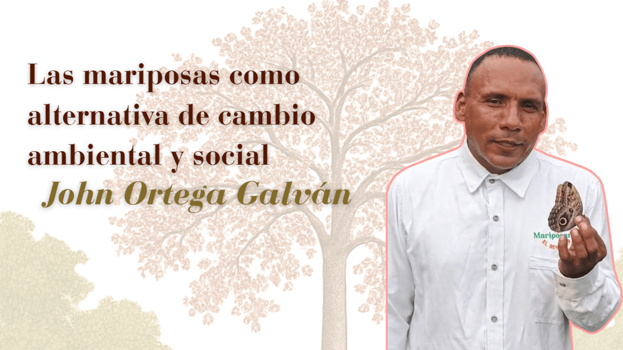 Segunda Responsive Image