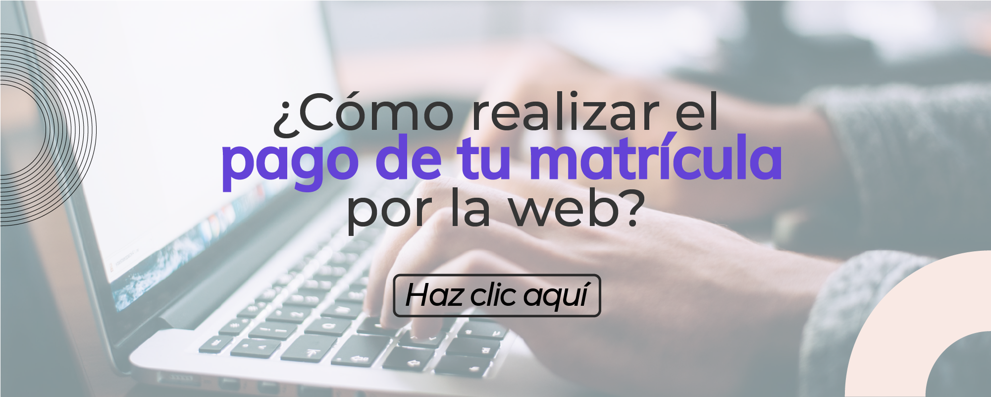 pago web tesorería