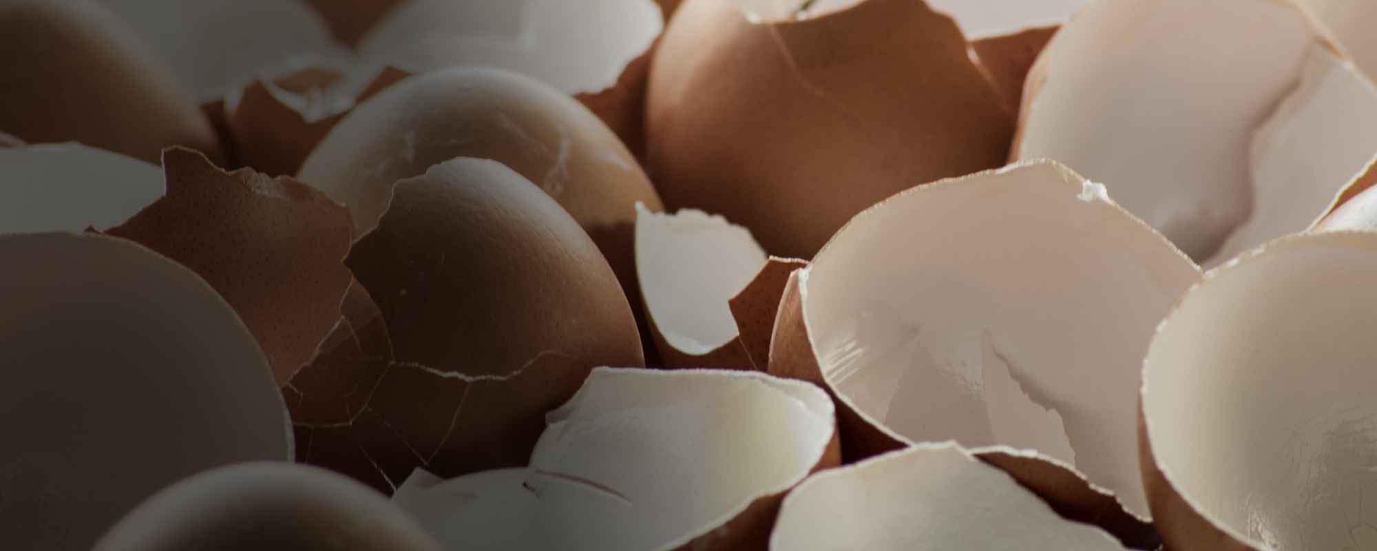 Con cáscaras de huevo crean un cemento menos dañino para el medio ambiente