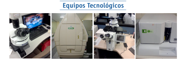 equipos