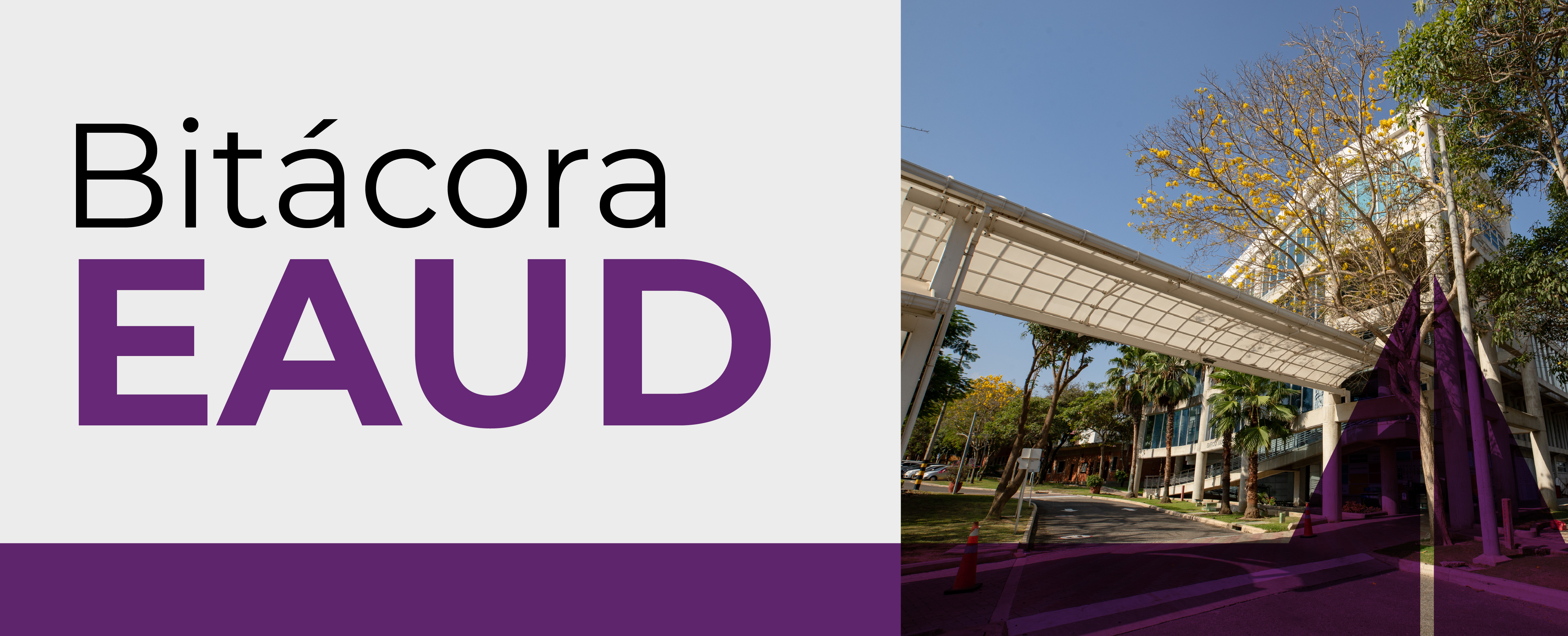 First Responsive Image